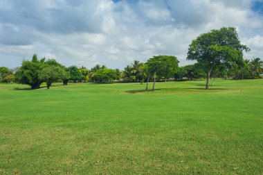 Dominik Cumhuriyeti ülkesindeki Golf Sahası. çim ve Hindistan cevizi avuç içi Seyşeller Adası.