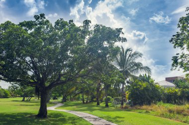 Dominik Cumhuriyeti ülkesindeki Golf Sahası. çim ve Hindistan cevizi avuç içi Seyşeller Adası.