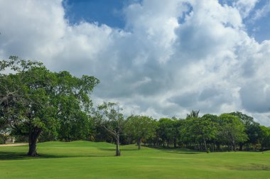 Dominik Cumhuriyeti ülkesindeki Golf Sahası. çim ve Hindistan cevizi avuç içi Seyşeller Adası.