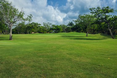 Dominik Cumhuriyeti ülkesindeki Golf Sahası. çim ve Hindistan cevizi avuç içi Seyşeller Adası.