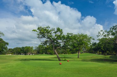 Dominik Cumhuriyeti ülkesindeki Golf Sahası. çim ve Hindistan cevizi avuç içi Seyşeller Adası.