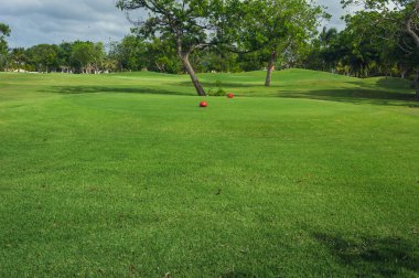 Dominik Cumhuriyeti ülkesindeki Golf Sahası. çim ve Hindistan cevizi avuç içi Seyşeller Adası.