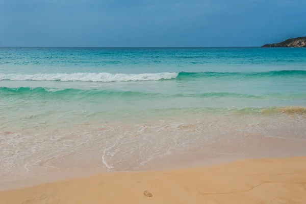 Paraíso tropical. República Dominicana, Seychelles, Caribe, Maurício, Filipinas, Bahamas. Relaxando na remota praia de Paradise. Vindima . — Fotografia de Stock