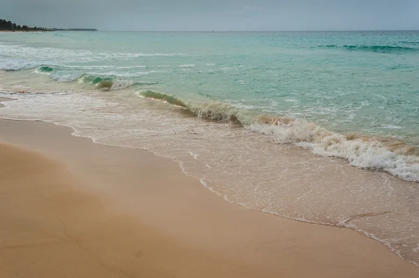 Tropiskt paradis. Dominikanska Republiken Seychellerna, Caribbean, Mauritius, Filippinerna, Bahamas. Koppla av på remote Paradise beach. Vintage. — Stockfoto