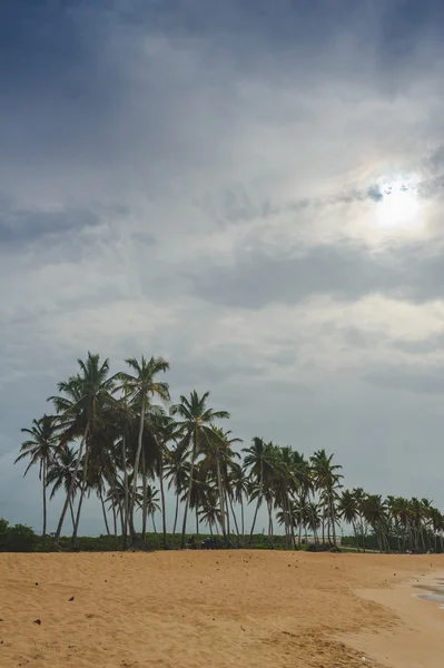 A trópusi paradicsomban. Dominikai Köztársaság, Seychelle-szigetek, Karib-tenger, Mauritius, Fülöp-szigetek, Bahama-szigetek. A távoli Paradise beach pihentető. Vintage. — Stock Fotó