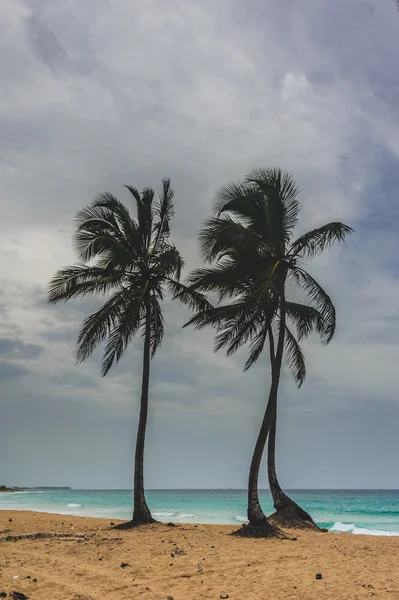 Tropikalny raj. Dominikana, Seszele, Karaiby, Mauritius, Filipiny, Bahamy. Relaks na zdalnym plaży Paradise. Vintage. — Zdjęcie stockowe