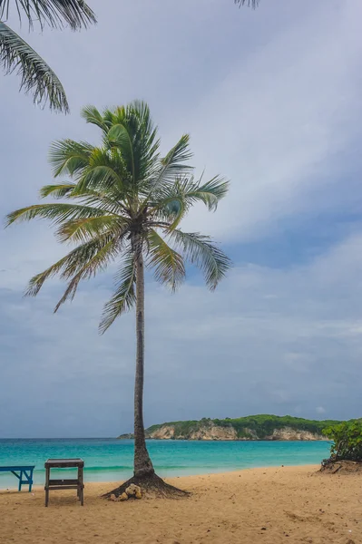 Tropik cenneti. Dominik Cumhuriyeti, Seyşeller, Caribbean, Mauritius, Filipinler, Bahamalar. Uzak Cennet plaj rahatlatıcı. Vintage. — Stok fotoğraf