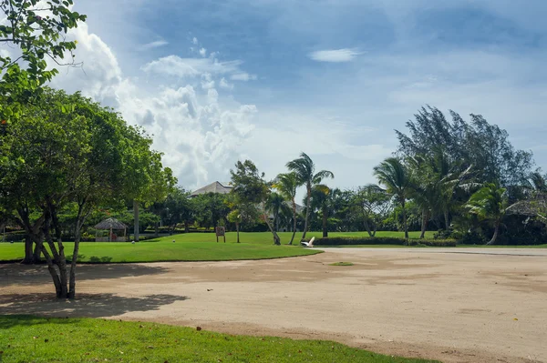 Поле для гольфу в Домініканській Республіці. області трави і кокосових пальм на острові Сейшельські острови. — стокове фото