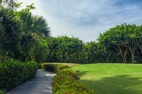 Golfbaan in Dominicaanse Republiek. gebied van gras en kokospalmen op Seychellen eiland. — Stockfoto