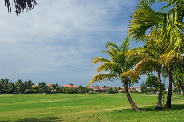 Golf course in Dominican republic. field of grass and coconut palms on Seychelles island. — Stock Photo, Image