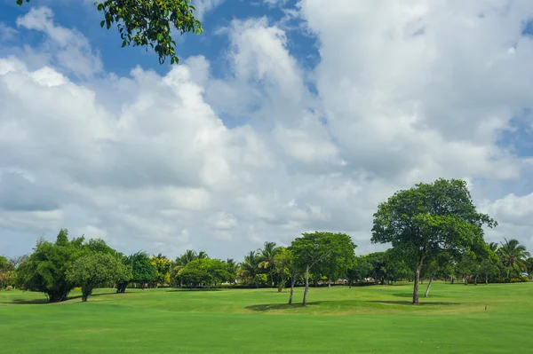 Golfbaan in Dominicaanse Republiek. gebied van gras en kokospalmen op Seychellen eiland. — Stockfoto