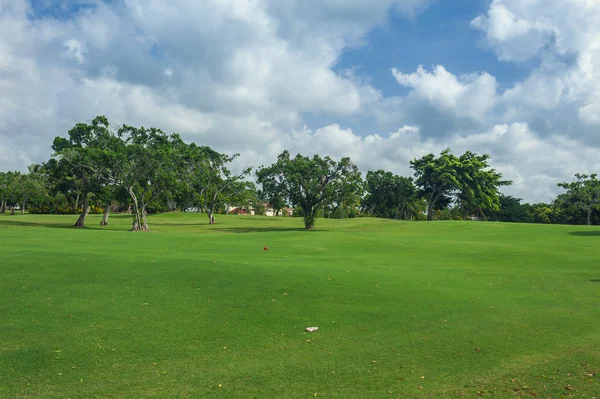 Golfbaan in Dominicaanse Republiek. gebied van gras en kokospalmen op Seychellen eiland. — Stockfoto