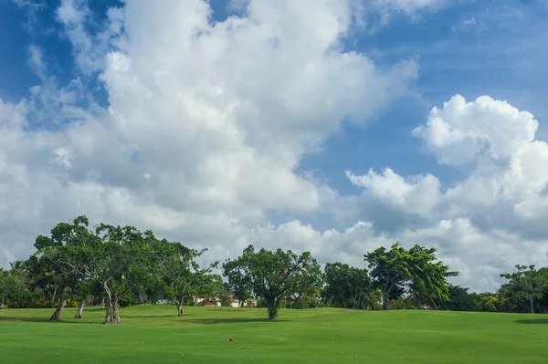 Campo de golf en República Dominicana. campo de hierba y cocoteros en la isla de Seychelles . —  Fotos de Stock