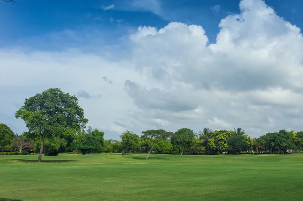 Golfbaan in Dominicaanse Republiek. gebied van gras en kokospalmen op Seychellen eiland. — Stockfoto