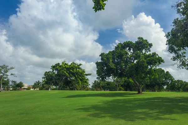 Campo de golf en República Dominicana. campo de hierba y cocoteros en la isla de Seychelles . — Foto de Stock