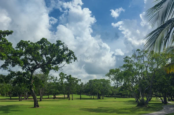 Golfplatz in der Dominikanischen Republik. Wiese mit Gras und Kokospalmen auf der Insel Seychellen. — Stockfoto