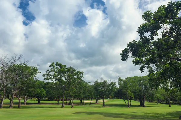 Golfbaan in Dominicaanse Republiek. gebied van gras en kokospalmen op Seychellen eiland. — Stockfoto