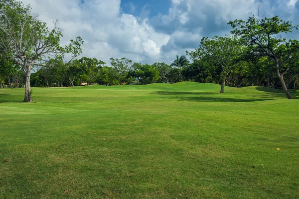 Dominik Cumhuriyeti ülkesindeki Golf Sahası. çim ve Hindistan cevizi avuç içi Seyşeller Adası. — Stok fotoğraf