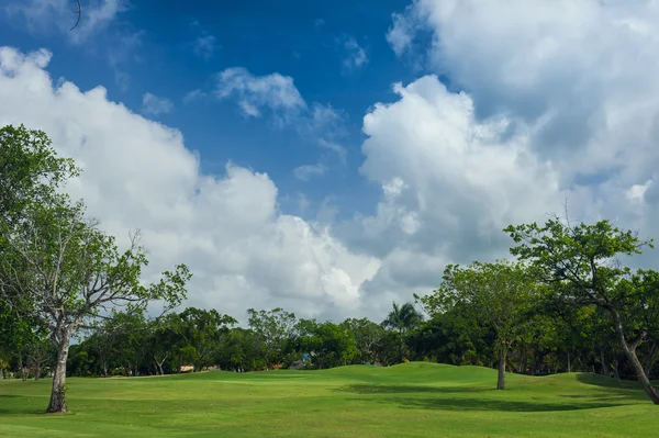 Terrain de golf en République dominicaine. champ d'herbe et cocotiers sur l'île des Seychelles . — Photo