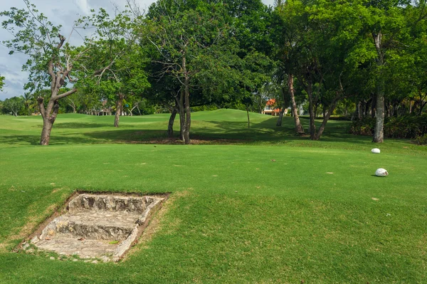 Golfplatz in der Dominikanischen Republik. Wiese mit Gras und Kokospalmen auf der Insel Seychellen. — Stockfoto