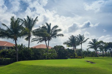 Dominik Cumhuriyeti ülkesindeki Golf Sahası. çim ve Hindistan cevizi avuç içi Seyşeller Adası.