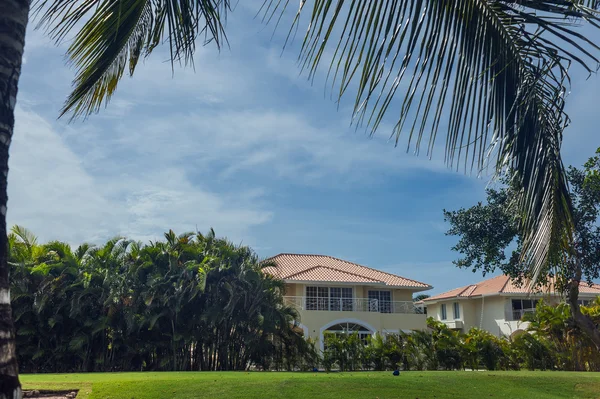 Golf course in Dominican republic. field of grass and coconut palms on Seychelles island. — Stock Photo, Image