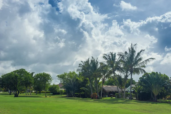 Golfbaan in Dominicaanse Republiek. gebied van gras en kokospalmen op Seychellen eiland. — Stockfoto
