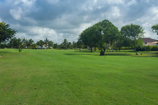 Campo de golf en República Dominicana. campo de hierba y cocoteros en la isla de Seychelles . —  Fotos de Stock