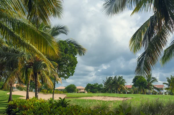 Exotické palmy Beach Resort důvody. Krásné palmy v tropické zahradě. — Stock fotografie