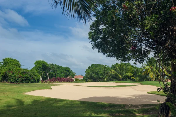 Campo de golf en República Dominicana. campo de hierba y cocoteros en la isla de Seychelles . — Foto de Stock