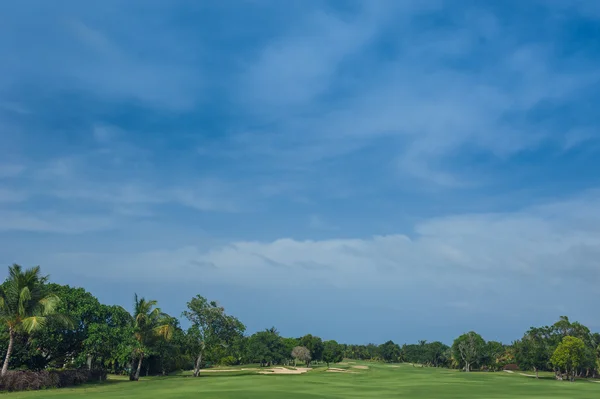 Golfplatz in der Dominikanischen Republik. Wiese mit Gras und Kokospalmen auf der Insel Seychellen. — Stockfoto