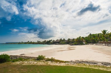 Palmiye ağaçlarının Dominik Cumhuriyeti vahşi tropikal Karayipler kum plaj. Sakin resort. Karayip Denizi. günbatımı zamanı, Seychelles adaları