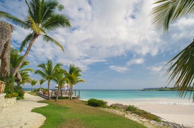 Palmiye ağaçlarının Dominik Cumhuriyeti vahşi tropikal Karayipler kum plaj. Sakin resort. Karayip Denizi. günbatımı zamanı, Seychelles adaları