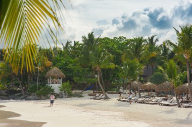 Palmiye ağaçlarının Dominik Cumhuriyeti vahşi tropikal Karayipler kum plaj. Sakin resort. Karayip Denizi. günbatımı zamanı, Seychelles adaları