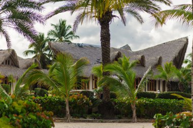 Palmiye ağaçlarının Dominik Cumhuriyeti vahşi tropikal Karayipler kum plaj. Sakin resort. Karayip Denizi. günbatımı zamanı, Seychelles adaları