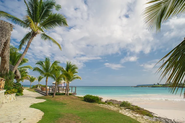Palmy na dzikie tropikalne karaibskiej plaży piasek w Republice Dominikańskiej. spokojny ośrodek. Morze Karaibskie. zachód słońca, Seszele wyspy — Zdjęcie stockowe