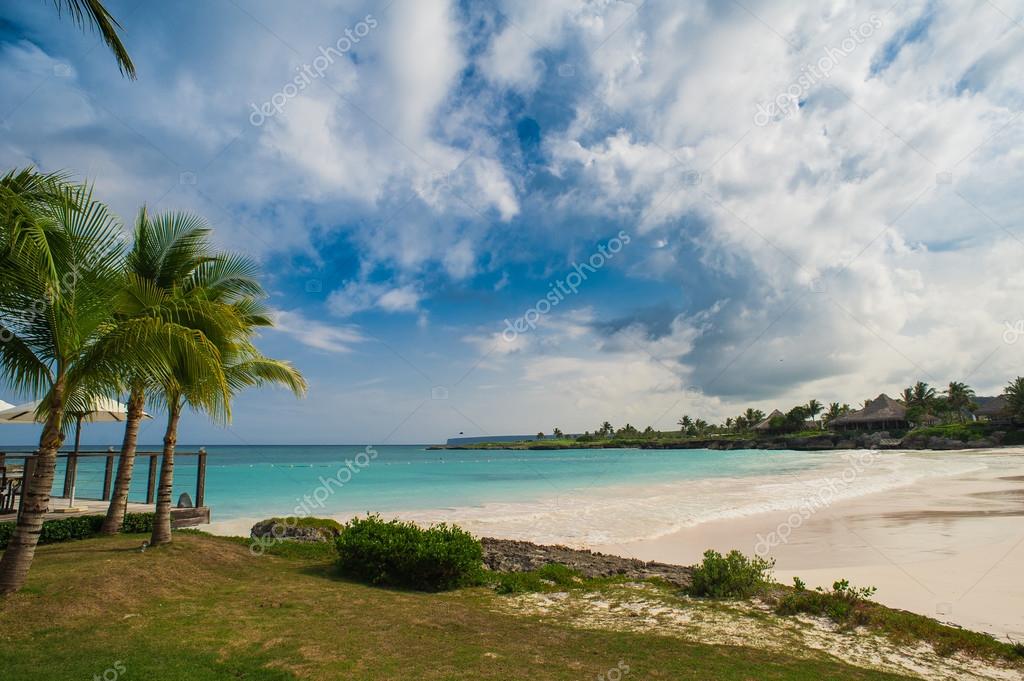 Palmiers Sur La Plage De Sable Des Caraïbes Tropicale