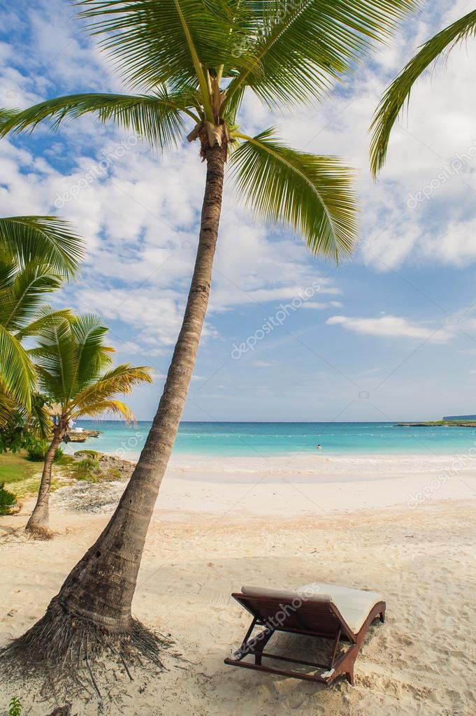 Palmiers Sur La Plage De Sable Des Caraïbes Tropicale