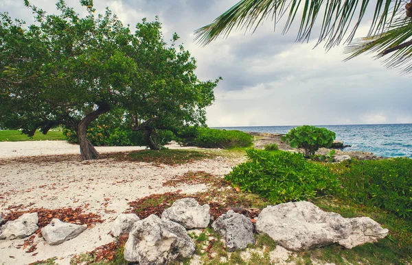 Отдых на отдаленных пляжах Доминиканской Республики, Сейшельских островов, Карибского бассейна, Маврикия, Филиппин, Бахрейна . — стоковое фото