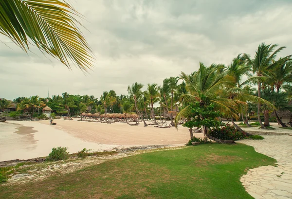 Relaxing on remote Tropical Paradise beach in Dominican Republic, Seychelles, Caribbean, Mauritius, Philippines, Bahamas. — Stock Photo, Image