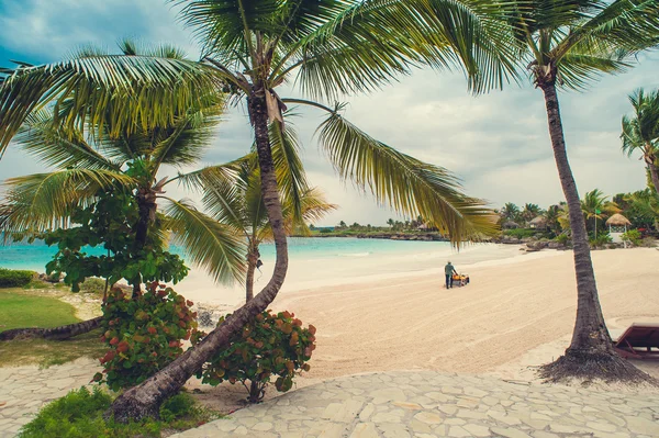 Relaks na zdalnym plaży tropikalnym raju w Dominikana, Seszele, Karaiby, Mauritius, Filipiny, Bahamy. — Zdjęcie stockowe