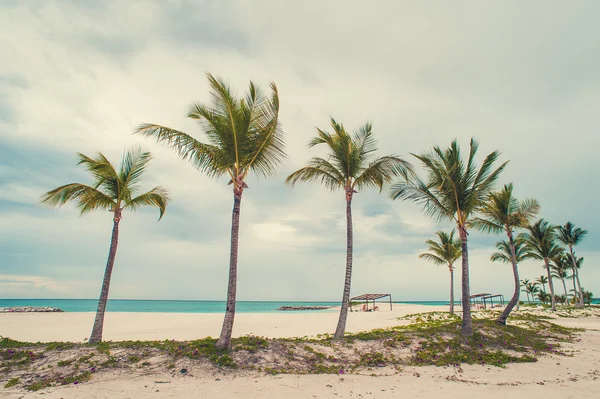 Rilassarsi sulla remota spiaggia tropicale Paradise in Repubblica Dominicana, Seychelles, Caraibi, Mauritius, Filippine, Bahamas . — Foto Stock