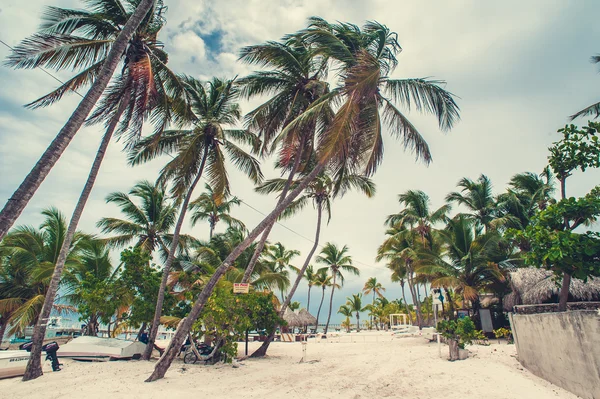 Relaxando na remota praia Tropical Paradise na República Dominicana, Seychelles, Caribe, Maurício, Filipinas, Bahamas . — Fotografia de Stock