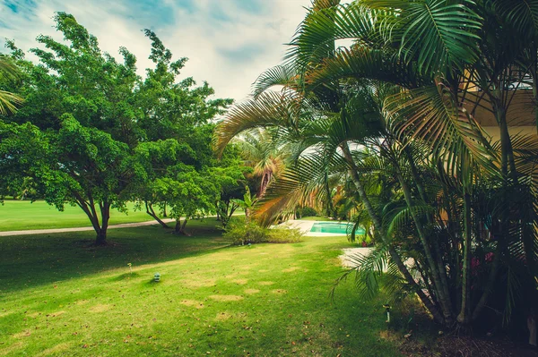 Green exotic garden. dominican republic. Pathway in tropical park - abstract travel background. — Stock Photo, Image