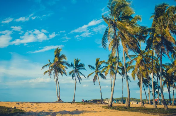 Relaxing on remote Tropical Paradise beach in Dominican Republic, Seychelles, Caribbean, Mauritius, Philippines, Bahamas. — Stock Photo, Image