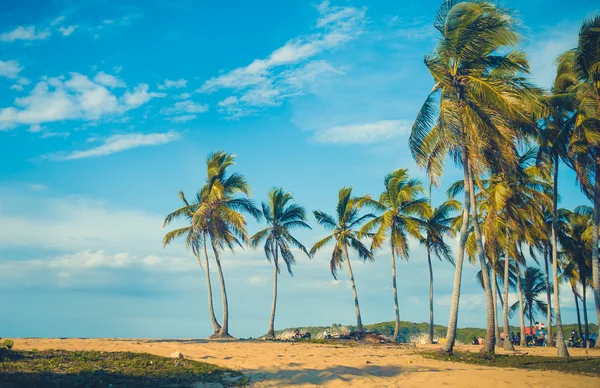 Relaxare pe plaja paradisului tropical din Republica Dominicană, Seychelles, Caraibe, Mauritius, Filipine, Bahamas . — Fotografie, imagine de stoc