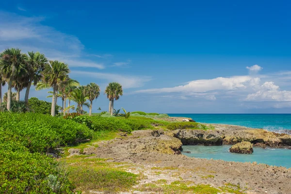 Rilassarsi sulla remota spiaggia tropicale Paradise in Repubblica Dominicana, Seychelles, Caraibi, Mauritius, Filippine, Bahamas . — Foto Stock