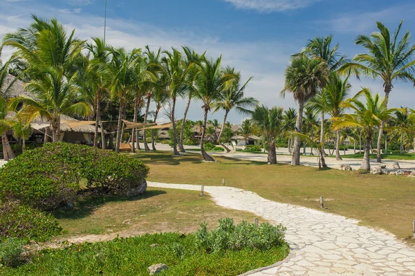 Koppla av på remote tropiskt paradis strand i Dominikanska republiken, Seychellerna, Caribbean, Mauritius, Filippinerna, Bahamas. — Stockfoto