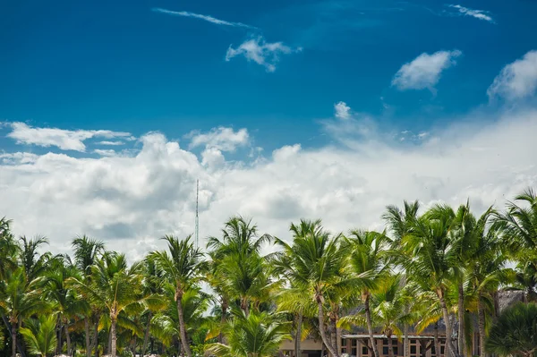 Relaxando na remota praia Tropical Paradise na República Dominicana, Seychelles, Caribe, Maurício, Filipinas, Bahamas . — Fotografia de Stock