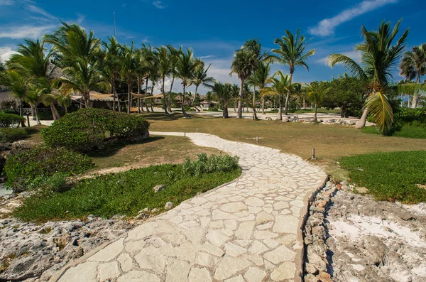 Koppla av på remote tropiskt paradis strand i Dominikanska republiken, Seychellerna, Caribbean, Mauritius, Filippinerna, Bahamas. — Stockfoto